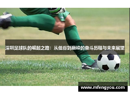 深圳足球队的崛起之路：从低谷到巅峰的奋斗历程与未来展望
