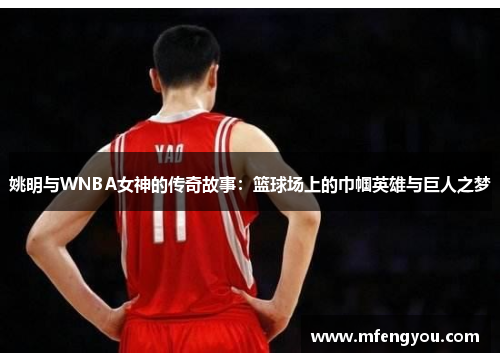 姚明与WNBA女神的传奇故事：篮球场上的巾帼英雄与巨人之梦