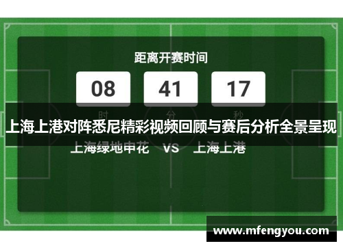 上海上港对阵悉尼精彩视频回顾与赛后分析全景呈现